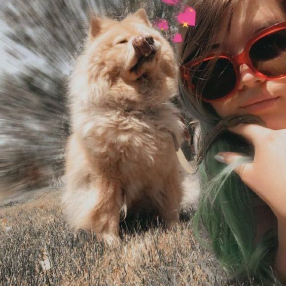 Meet your Posher, Mckayla - Picture 1 of 1